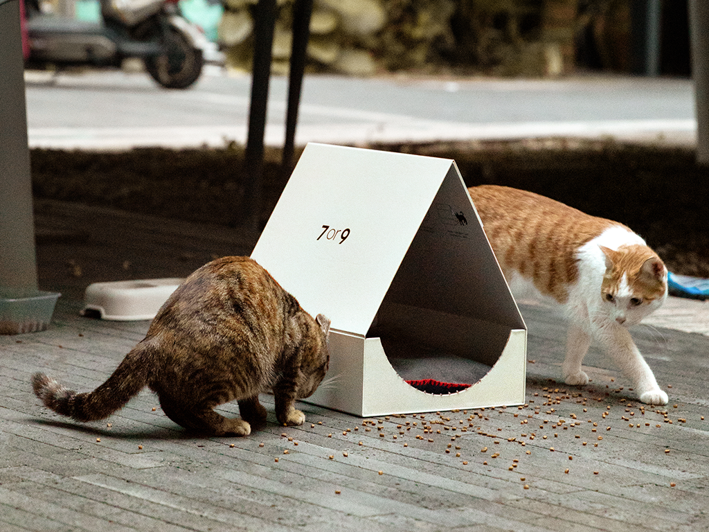 7or9のブーツ箱が、猫ちゃんの快適なおうちに大変身！