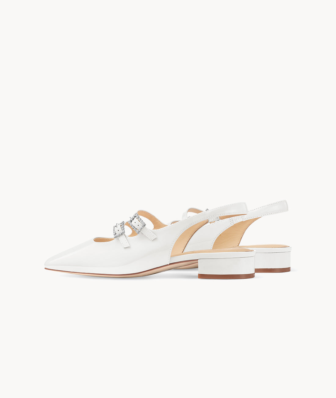 7or9 Japan - Epiphyllum Slingback - スリングバック