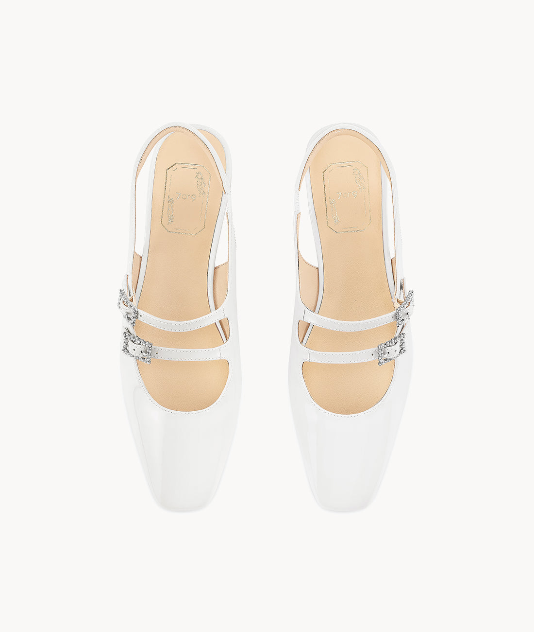7or9 Japan - Epiphyllum Slingback - スリングバック